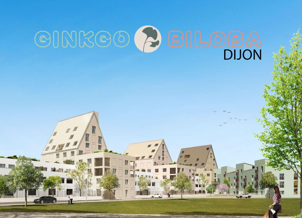 Ginkgo Biloba à Dijon Dijon photo 1